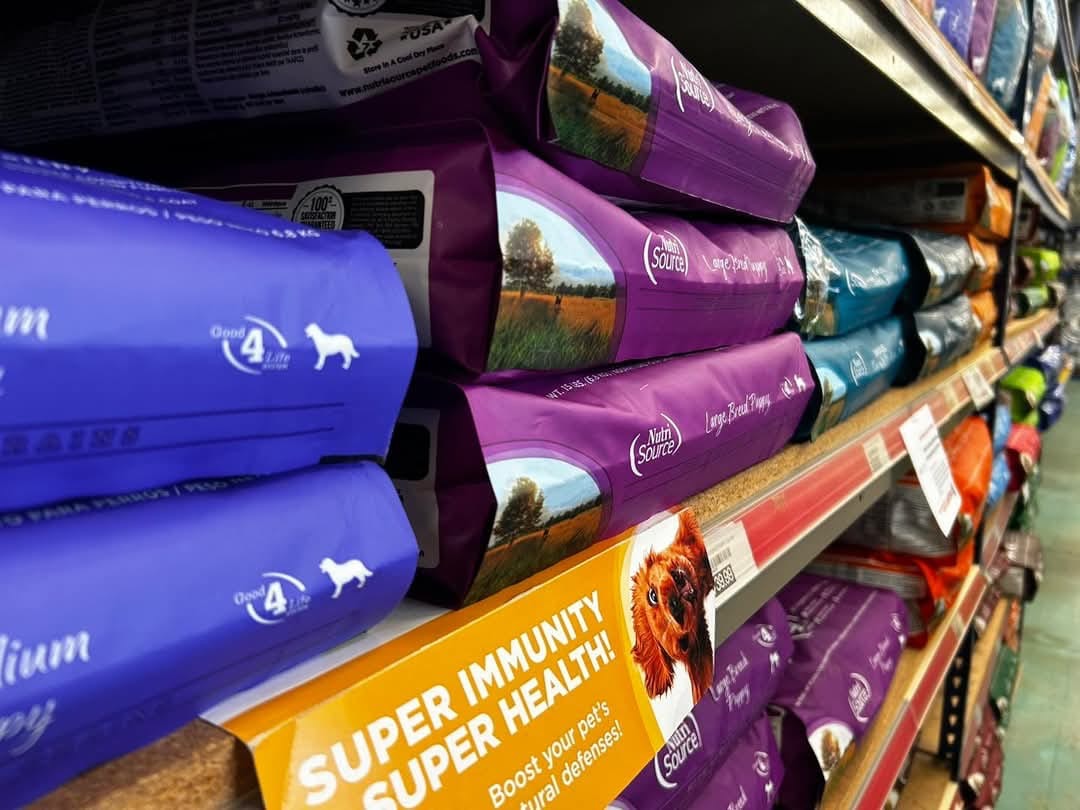 IMG_0759 Pet Food Pallets – image 12